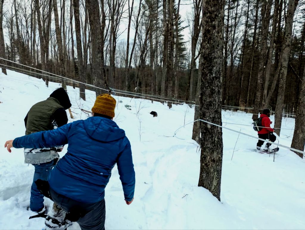 fb_img_17407529757795609073543681721224